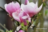 Filename=382_fotowilga~7.JPG
Filesize=90KB
Dimensions=720x480
Date added=May 08, 2014 382_fotowilga~7.JPG