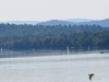 Filename=383_fotowilga~31.JPG
Filesize=250KB
Dimensions=700x525
Date added=Dec 22, 2019 383_fotowilga~31.JPG