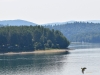 Filename=384_fotowilga~27.JPG
Filesize=266KB
Dimensions=700x525
Date added=Dec 22, 2019 384_fotowilga~27.JPG