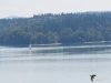 Filename=385_fotowilga~30.JPG
Filesize=263KB
Dimensions=700x525
Date added=Dec 28, 2019 385_fotowilga~30.JPG