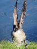 Filename=386_fotowilga~24.JPG
Filesize=297KB
Dimensions=525x700
Date added=Sep 15, 2018 386_fotowilga~24.JPG
