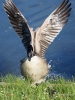 Filename=387_fotowilga~23.JPG
Filesize=334KB
Dimensions=525x700
Date added=Sep 15, 2018 387_fotowilga~23.JPG