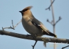 Filename=387_fotowilga~5.JPG
Filesize=83KB
Dimensions=640x457
Date added=Oct 19, 2014 387_fotowilga~5.JPG