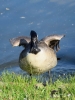 Filename=388_fotowilga~27.JPG
Filesize=318KB
Dimensions=525x700
Date added=Sep 15, 2018 388_fotowilga~27.JPG