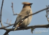 Filename=389_fotowilga~7.JPG
Filesize=88KB
Dimensions=640x457
Date added=Oct 15, 2014 389_fotowilga~7.JPG