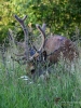 Filename=391_fotowilga~20.JPG
Filesize=399KB
Dimensions=525x700
Date added=Jun 21, 2019 391_fotowilga~20.JPG