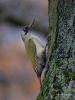 Filename=391_fotowilga~25.JPG
Filesize=272KB
Dimensions=525x700
Date added=Nov 30, 2017 391_fotowilga~25.JPG