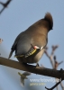 Filename=392_fotowilga~2.JPG
Filesize=69KB
Dimensions=343x480
Date added=Sep 24, 2014 392_fotowilga~2.JPG