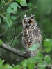 Filename=392_fotowilga~24.JPG
Filesize=295KB
Dimensions=525x700
Date added=Feb 29, 2020 392_fotowilga~24.JPG