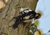 Filename=392_fotowilga~9.JPG
Filesize=114KB
Dimensions=640x452
Date added=Jan 17, 2016 392_fotowilga~9.JPG