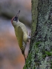 Filename=393_fotowilga~26.JPG
Filesize=295KB
Dimensions=525x700
Date added=Dec 01, 2017 393_fotowilga~26.JPG