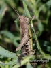 Filename=393_fotowilga~27.JPG
Filesize=79KB
Dimensions=360x480
Date added=Jan 15, 2018 393_fotowilga~27.JPG