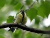Filename=393_fotowilga~30.JPG
Filesize=229KB
Dimensions=700x525
Date added=Dec 12, 2018 393_fotowilga~30.JPG