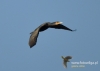 396_fotowilga~14.JPG