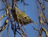 Filename=399_fotowilga~5.JPG
Filesize=252KB
Dimensions=700x534
Date added=Mar 16, 2019 399_fotowilga~5.JPG