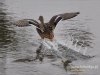 Filename=399_fotowilga~7.JPG
Filesize=119KB
Dimensions=640x480
Date added=Mar 15, 2015 399_fotowilga~7.JPG