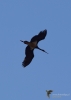 Filename=400_fotowilga~16.JPG
Filesize=150KB
Dimensions=499x700
Date added=Apr 21, 2019 400_fotowilga~16.JPG
