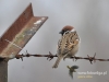 Filename=400_fotowilga~5.JPG
Filesize=91KB
Dimensions=640x480
Date added=Mar 16, 2015 400_fotowilga~5.JPG