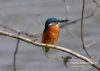 Filename=400_fotowilga~6.JPG
Filesize=77KB
Dimensions=640x457
Date added=Apr 16, 2015 400_fotowilga~6.JPG