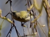Filename=401_fotowilga~24.JPG
Filesize=246KB
Dimensions=700x527
Date added=Dec 30, 2017 401_fotowilga~24.JPG
