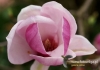 Filename=402_fotowilga~11.JPG
Filesize=74KB
Dimensions=640x452
Date added=Mar 30, 2016 402_fotowilga~11.JPG