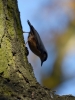 Filename=402_fotowilga~26.JPG
Filesize=269KB
Dimensions=525x700
Date added=Dec 08, 2017 402_fotowilga~26.JPG