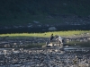 Filename=402_fotowilga~32.JPG
Filesize=325KB
Dimensions=700x525
Date added=Sep 24, 2019 402_fotowilga~32.JPG