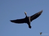 Filename=402_fotowilga~33.JPG
Filesize=199KB
Dimensions=700x525
Date added=Oct 24, 2019 402_fotowilga~33.JPG
