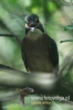 Filename=404_fotowilga~11.JPG
Filesize=66KB
Dimensions=320x480
Date added=Mar 06, 2016 404_fotowilga~11.JPG