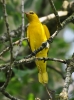Filename=404_fotowilga~24.JPG
Filesize=271KB
Dimensions=520x700
Date added=Mar 23, 2018 404_fotowilga~24.JPG