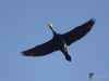 Filename=404_fotowilga~27.JPG
Filesize=182KB
Dimensions=700x525
Date added=Oct 22, 2019 404_fotowilga~27.JPG