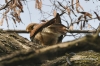 Filename=404_fotowilga~4.JPG
Filesize=126KB
Dimensions=720x480
Date added=Apr 10, 2014 404_fotowilga~4.JPG