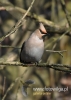 Filename=404_fotowilga~6.JPG
Filesize=78KB
Dimensions=343x480
Date added=Sep 28, 2014 404_fotowilga~6.JPG