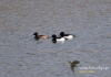 Filename=404_fotowilga~9.JPG
Filesize=108KB
Dimensions=640x448
Date added=Oct 04, 2015 404_fotowilga~9.JPG