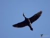 Filename=405_fotowilga~13.JPG
Filesize=192KB
Dimensions=700x525
Date added=May 29, 2019 405_fotowilga~13.JPG