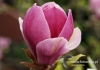 Filename=406_fotowilga~13.JPG
Filesize=80KB
Dimensions=640x452
Date added=Apr 07, 2016 406_fotowilga~13.JPG