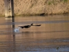 Filename=406_fotowilga~23.JPG
Filesize=251KB
Dimensions=700x525
Date added=Jan 06, 2019 406_fotowilga~23.JPG
