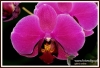 Filename=406_fotowilga~3.JPG
Filesize=135KB
Dimensions=720x492
Date added=Feb 19, 2014 406_fotowilga~3.JPG