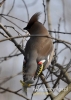 Filename=409_fotowilga~5.JPG
Filesize=81KB
Dimensions=343x480
Date added=Oct 19, 2014 409_fotowilga~5.JPG