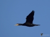 Filename=410_fotowilga~23.JPG
Filesize=177KB
Dimensions=700x525
Date added=May 27, 2019 410_fotowilga~23.JPG