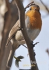 Filename=411_fotowilga~22.JPG
Filesize=69KB
Dimensions=343x480
Date added=Oct 31, 2016 411_fotowilga~22.JPG
