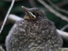 Filename=412_fotowilga~23.JPG
Filesize=305KB
Dimensions=700x525
Date added=May 23, 2018 412_fotowilga~23.JPG