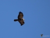 Filename=414_fotowilga~22.JPG
Filesize=208KB
Dimensions=700x525
Date added=Mar 10, 2019 414_fotowilga~22.JPG