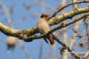 Filename=418_fotowilga~3.JPG
Filesize=104KB
Dimensions=720x480
Date added=Mar 28, 2013 418_fotowilga~3.JPG