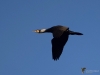 418_fotowilga~31.JPG
