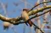 Filename=419_fotowilga~0.JPG
Filesize=105KB
Dimensions=720x480
Date added=Mar 30, 2013 419_fotowilga~0.JPG
