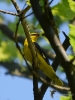 Filename=420_fotowilga~25.JPG
Filesize=261KB
Dimensions=525x700
Date added=Jun 20, 2019 420_fotowilga~25.JPG