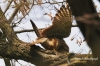Filename=421_fotowilga~7.JPG
Filesize=130KB
Dimensions=720x480
Date added=Mar 17, 2014 421_fotowilga~7.JPG
