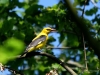 Filename=422_fotowilga~25.JPG
Filesize=279KB
Dimensions=700x525
Date added=Jun 08, 2019 422_fotowilga~25.JPG