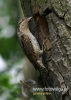 424_fotowilga~7.JPG